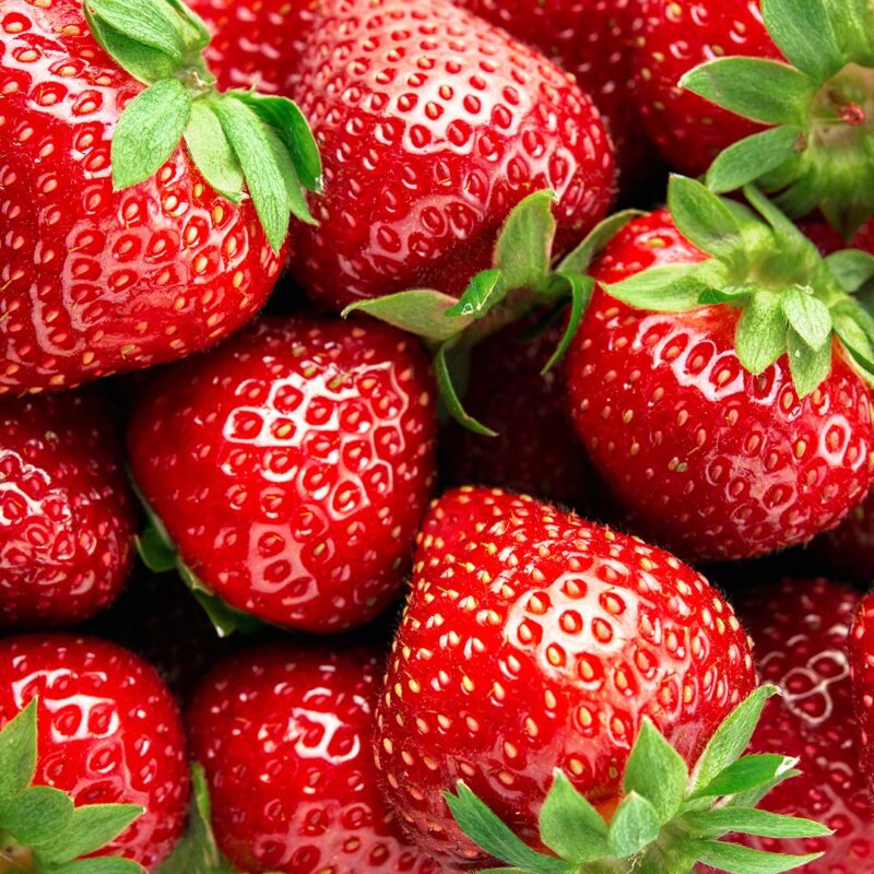 Martina fresas frescas