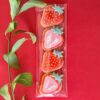 Galletas artesanales fresas